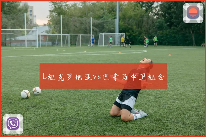 L组克罗地亚vs巴拿马中卫组合