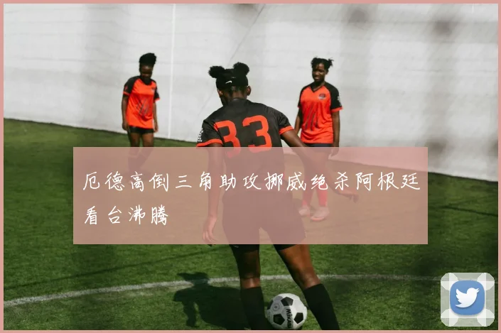 厄德高倒三角助攻挪威绝杀阿根廷看台沸腾