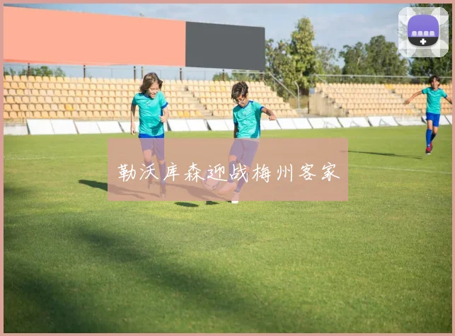 勒沃库森迎战梅州客家