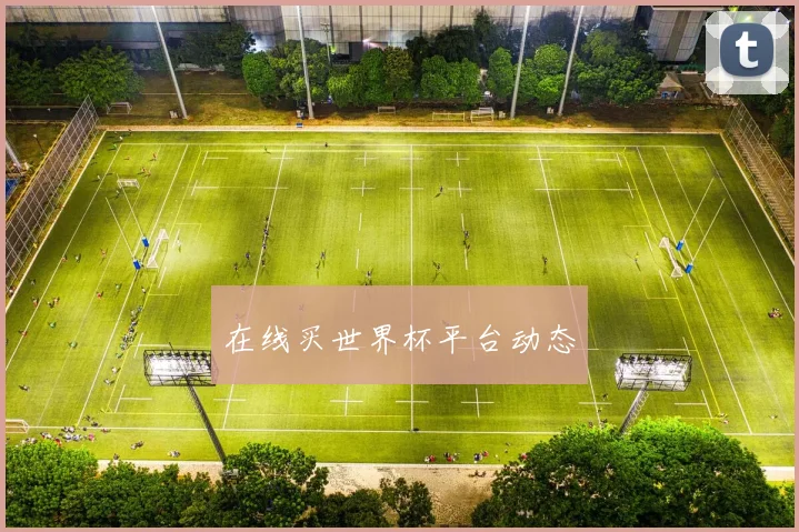 在线买世界杯平台动态