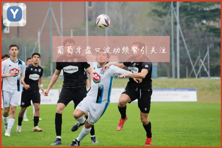葡萄牙盘口波动频繁引关注