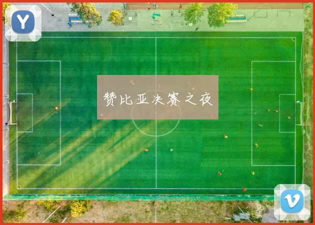 赞比亚决赛之夜