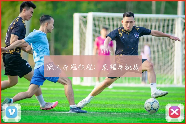 欧文夺冠征程：荣耀与挑战