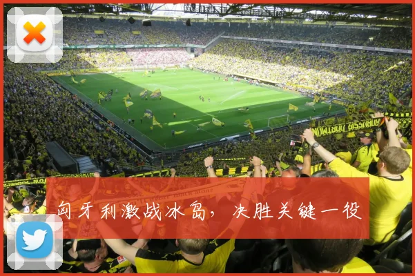 匈牙利激战冰岛，决胜关键一役