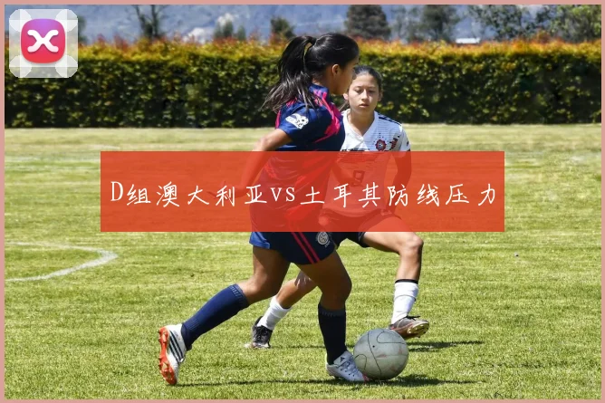 D组澳大利亚vs土耳其防线压力