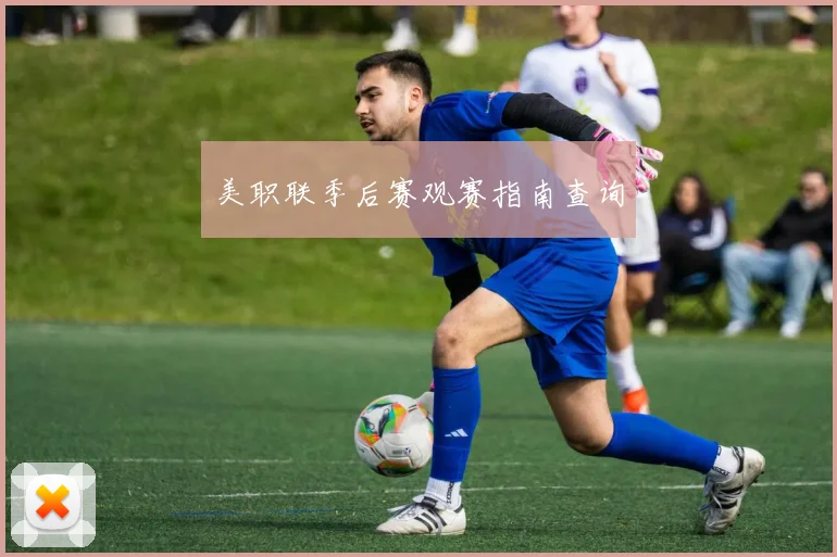 美职联季后赛观赛指南查询