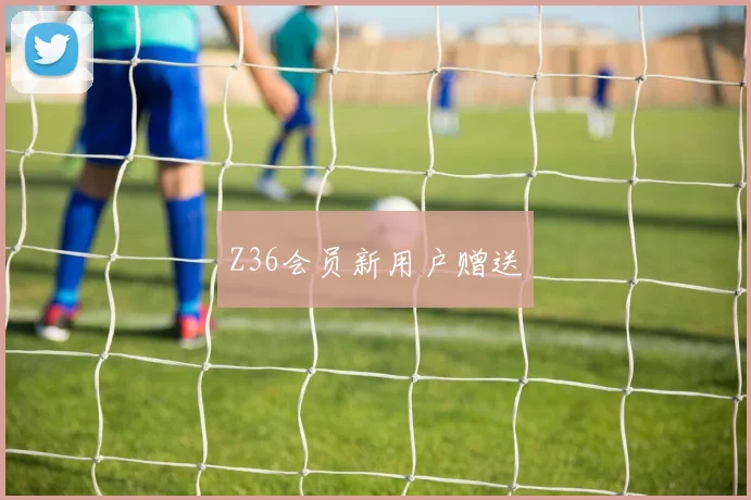 Z36会员新用户赠送